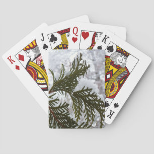 Jeu De Cartes Neige sur les branches À feuillage persistant