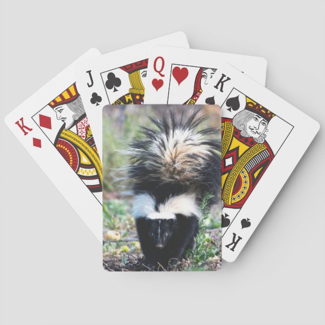 Jeu De Cartes Noir et blanc (dos)