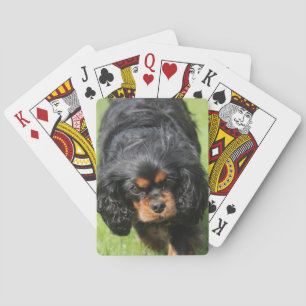 Jeu De Cartes Noir et Tan Cavalier King Charles Spaniel Chien