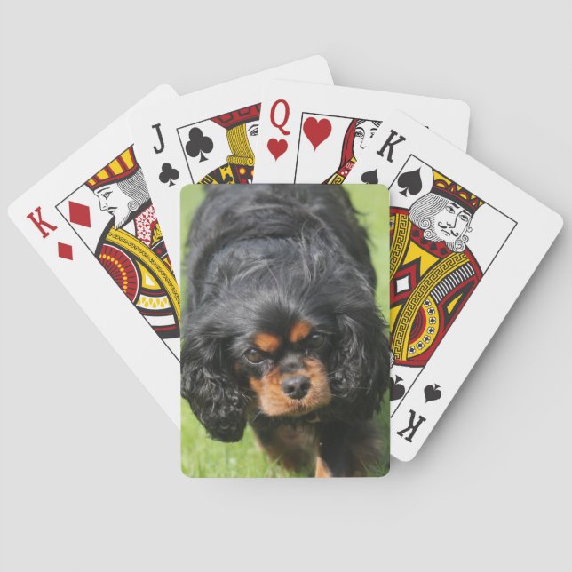Jeu De Cartes Noir et Tan Cavalier King Charles Spaniel Chien (dos)