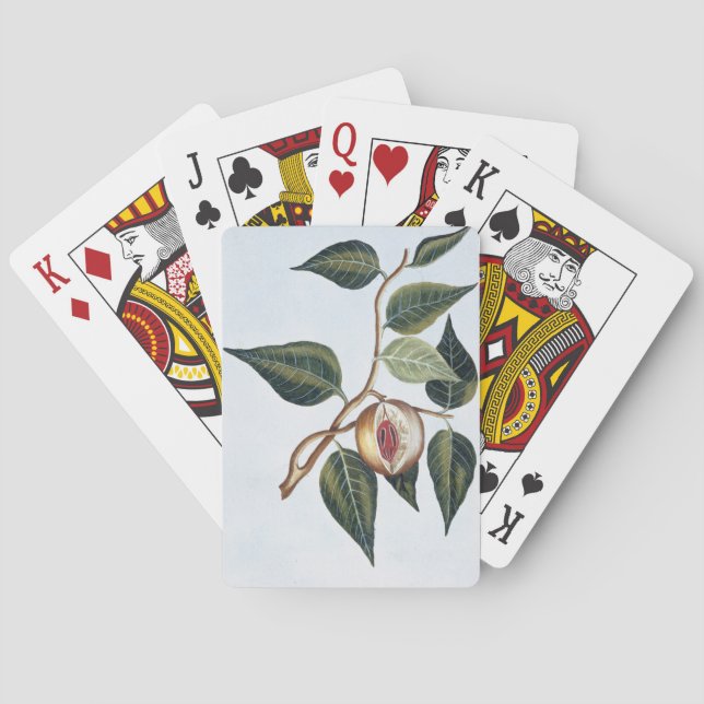Jeu De Cartes Noix de muscade, plat 7, de 'collection Precieuse (dos)