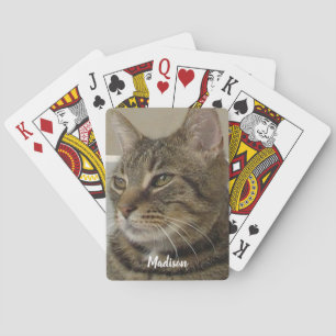 Jeu De Cartes Nom de la photo du chat Cute Tabby