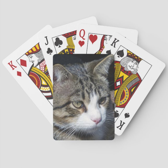 Jeu De Cartes Observation des oiseaux (dos)