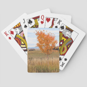 Jeu De Cartes Octobre lumineux