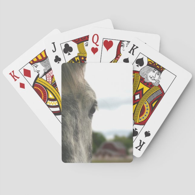 Jeu De Cartes Oeil de Cheval Brouillon gris pomme  (dos)