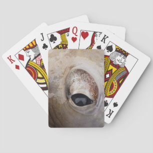 Jeu De Cartes OEil octopique