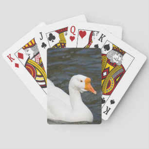 Jeu De Cartes Oie blanche chinoise