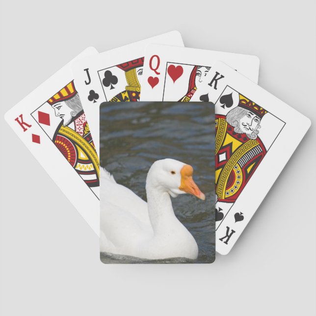 Jeu De Cartes Oie blanche chinoise (dos)
