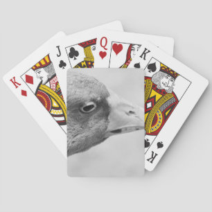 Jeu De Cartes Oie BW