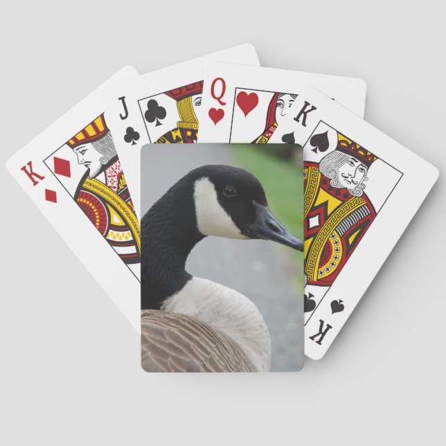 Jeu De Cartes Oie canadienne (dos)