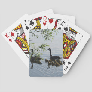 Jeu De Cartes Oies sauvages Jouer des cartes