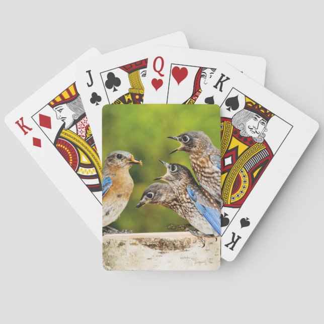Jeu De Cartes Oiseau bleu oriental (dos)