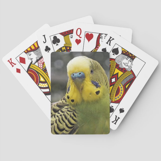 Jeu De Cartes Oiseau de perruche (dos)
