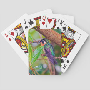 Jeu De Cartes Oiseau du Costa Rica - Colibri