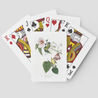 Jeu De Cartes oiseaux Bleu-à ailes Amérique d'Audubon de