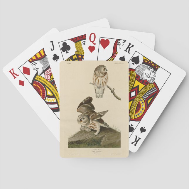 Jeu De Cartes Oiseaux d'Amérique d'Audubon (dos)