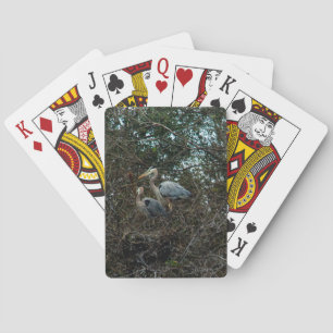 Jeu De Cartes Oiseaux de héron bleu dans un nid Photo
