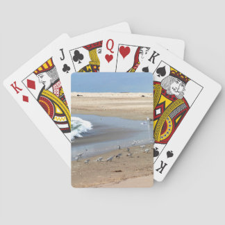 Jeu De Cartes Oiseaux de plage