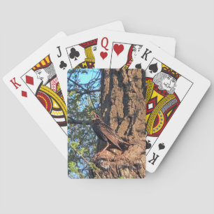 Jeu De Cartes Oiseaux Jouer Des Cartes