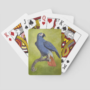 Jeu De Cartes Oiseaux tropicaux Illustration du perroquet Vintag