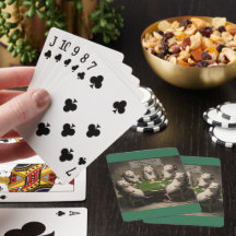 Opossum Jouer au poker