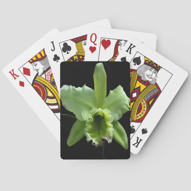 Jeu De Cartes Orchidée verte de chaux Jouer des cartes (dos)