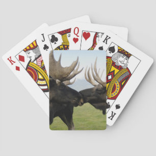 Jeu De Cartes Orignaux
