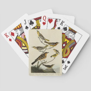 Jeu De Cartes Orioles, Thrushes, des oiseaux d'Amérique d'Audubo