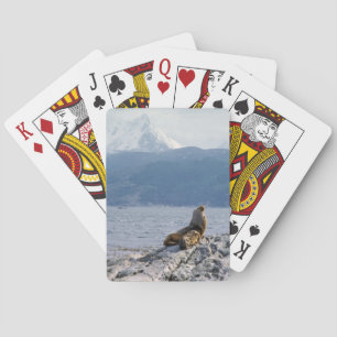 Jeu De Cartes Otaries dans le canal beagle - Argentine