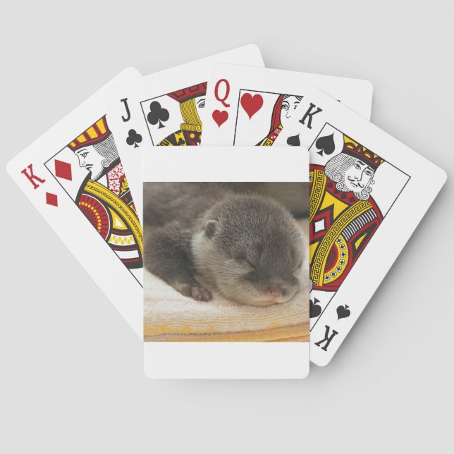Jeu De Cartes Otter endormi (dos)