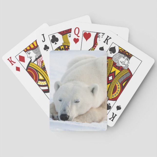 Jeu De Cartes Ours blanc en hiver (dos)