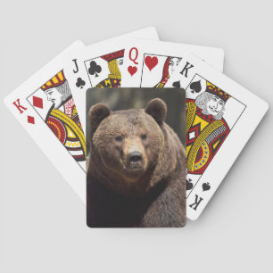 Jeu De Cartes ours grizzli jouer aux cartes