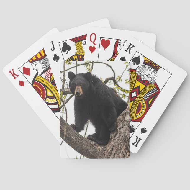 Jeu De Cartes Ours noir s'élevant (dos)