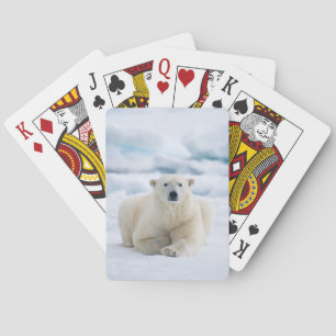 Jeu De Cartes Ours polaire adulte sur la glace du pack d'été