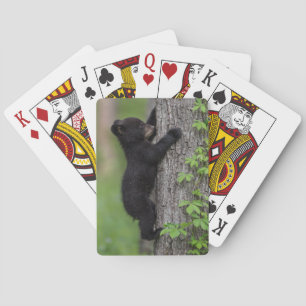 Jeu De Cartes Ourson escaladant un arbre