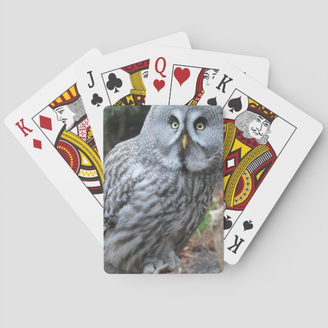Jeu De Cartes Owl Portrait Photograph (dos)