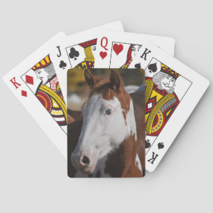 Jeu De Cartes Paint Horse Piebald Jouer aux cartes Western Ranch