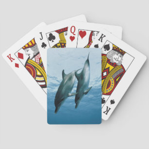 Jeu De Cartes Paire de dauphins