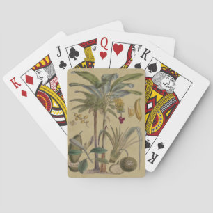 Jeu De Cartes Palm Antique Fruit Tropical Art Botanique