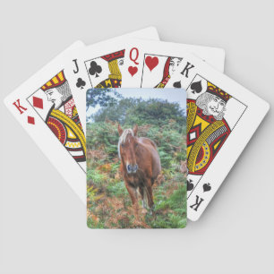Jeu De Cartes Palomino Rare New Forest Pony & Bracken - Angleter