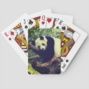 Jeu De Cartes Panda Bear Players