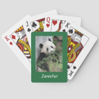 Panda Géant Cute, Arrière - plan Vert,
