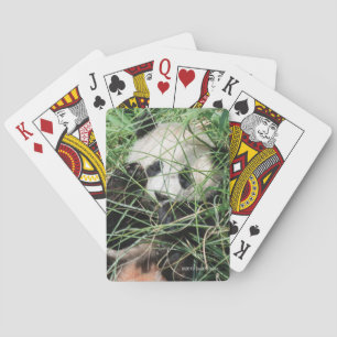 Jeu De Cartes Panda géant se cachant dans l'herbe
