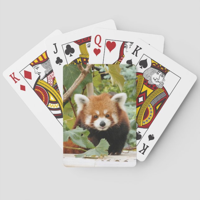 Jeu De Cartes Panda rouge (dos)