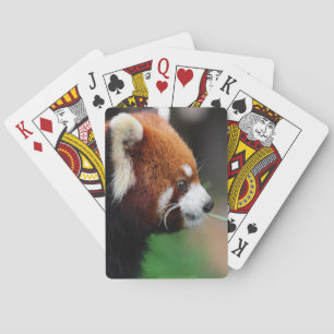 Jeu De Cartes Panda rouge