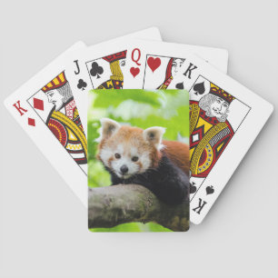 Jeu De Cartes Panda rouge
