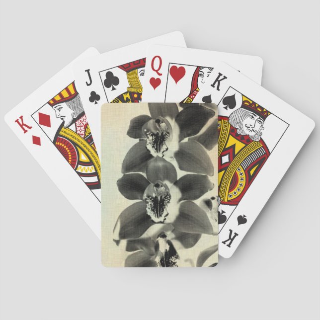 Jeu De Cartes Panneaux vierges IV (dos)