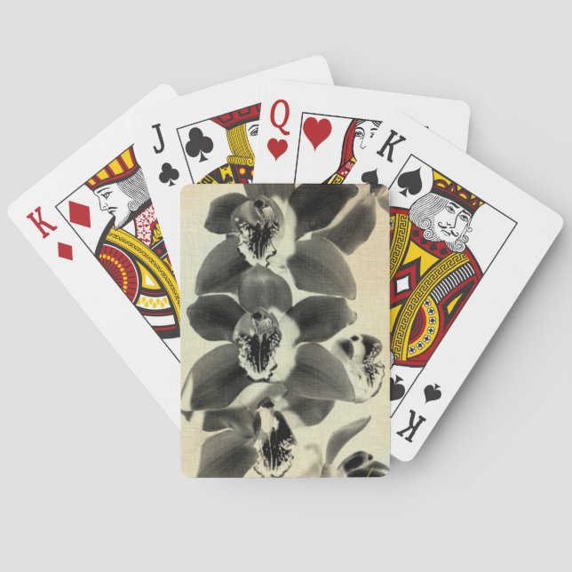 Jeu De Cartes Panneaux vierges IV (dos)