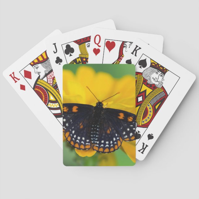 Jeu De Cartes Papillon Checkered de tache de Baltimore (dos)