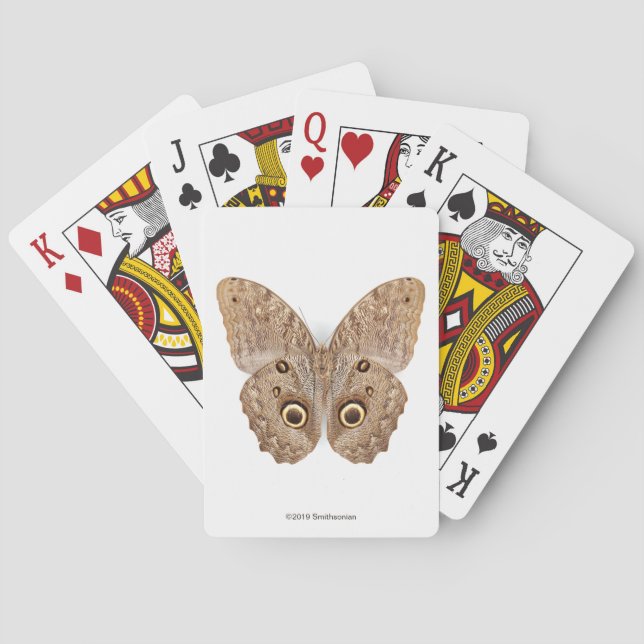 Jeu De Cartes Papillon de hibou (dos)
